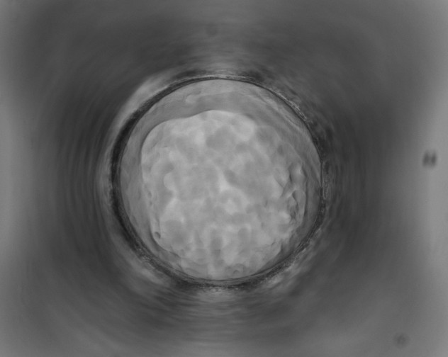 X0000100330198200807031243