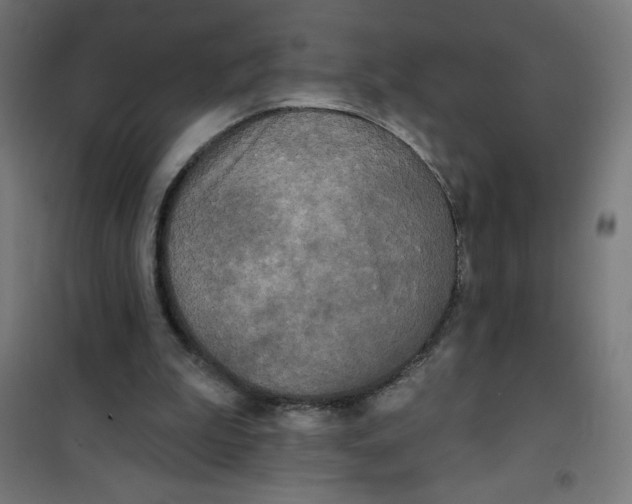 X0000100330199200807031243