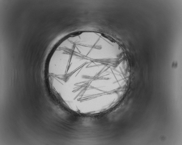 X0000100330200200807031243