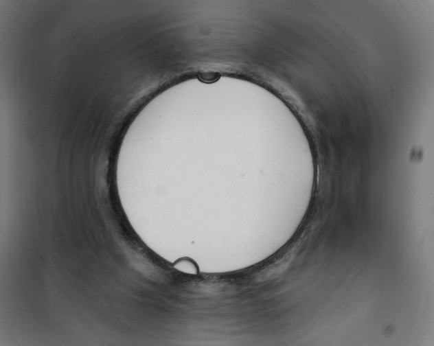 X0000100330201200807031243