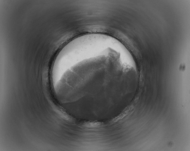 X0000100330202200807031243