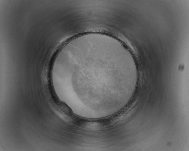 X0000100330203200807031243