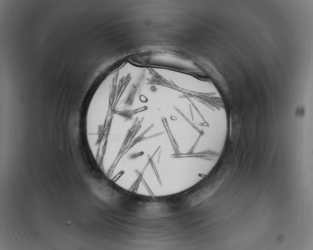 X0000100330204200807031243
