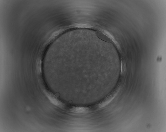 X0000100330205200807031243