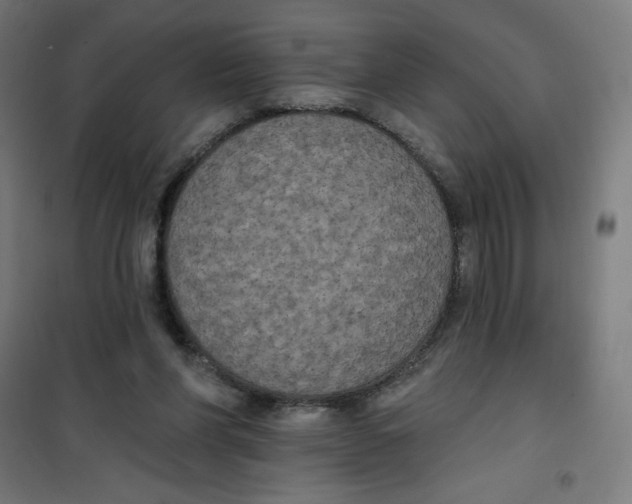 X0000100330206200807031242