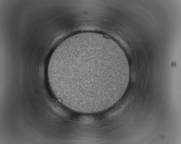 X0000100330207200807031242