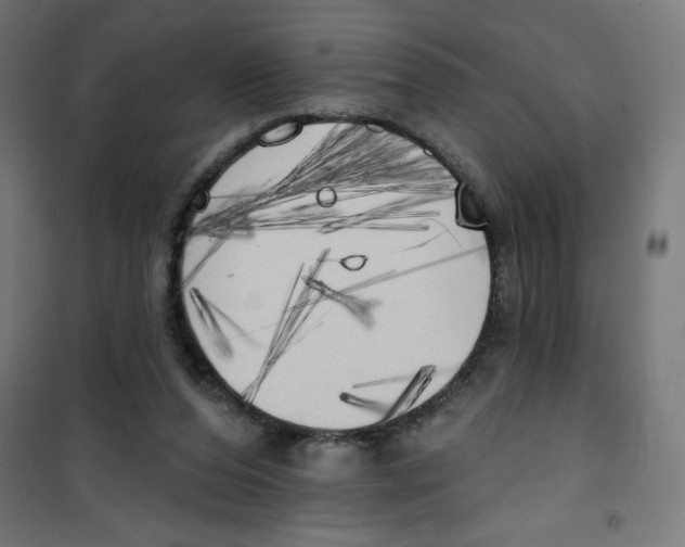X0000100330208200807031242