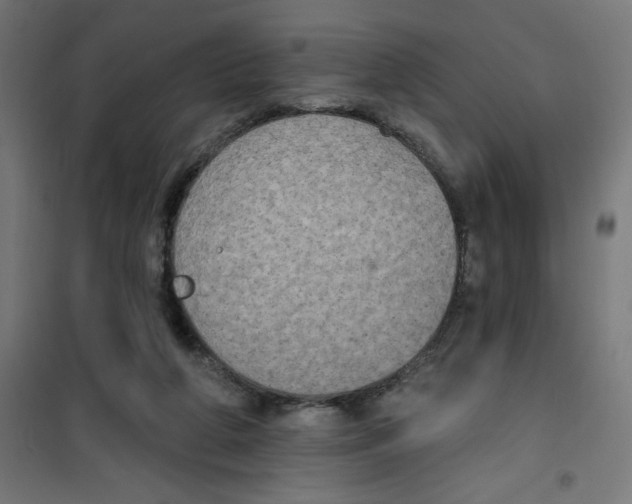 X0000100330210200807031242