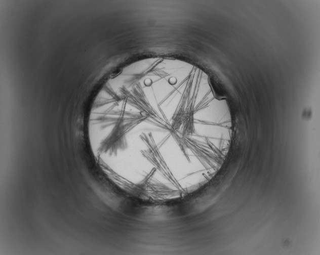X0000100330212200807031242