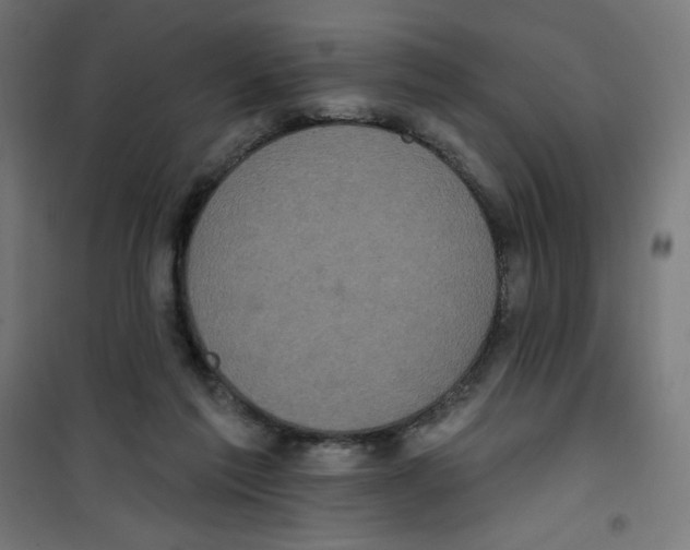 X0000100330213200807031242