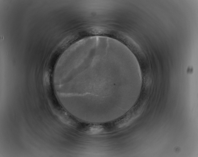 X0000100330214200807031242