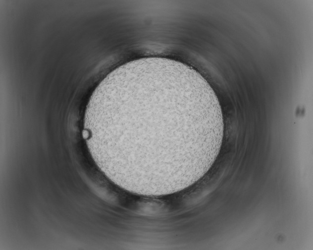 X0000100330215200807031242