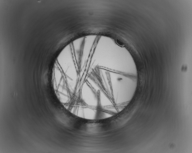 X0000100330216200807031242