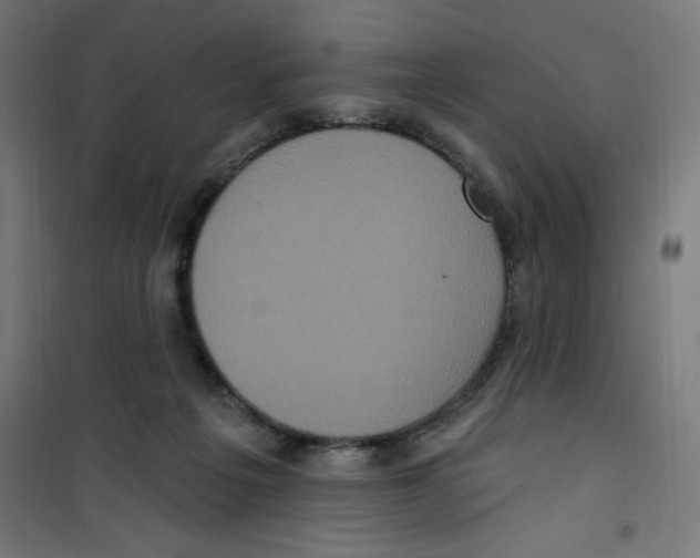 X0000100330217200807031242