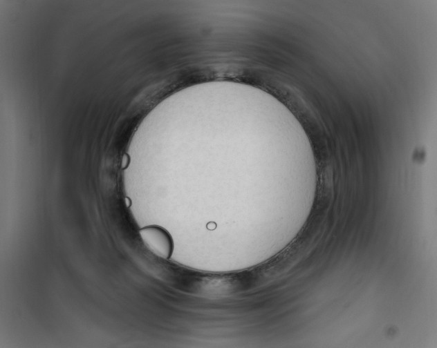 X0000100330218200807031242