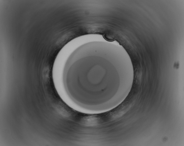 X0000100330219200807031242