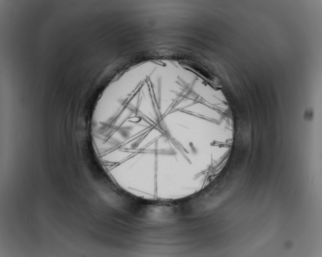 X0000100330220200807031242