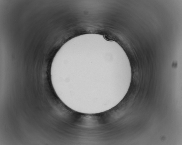 X0000100330221200807031242