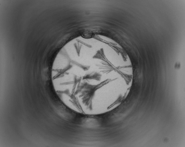 X0000100330224200807031242