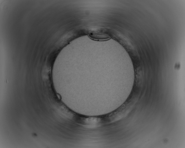 X0000100330225200807031242