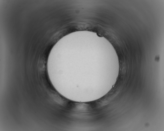 X0000100330226200807031242