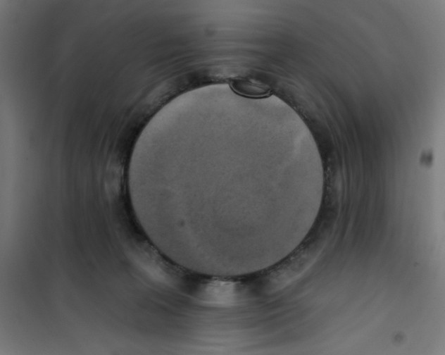 X0000100330227200807031242