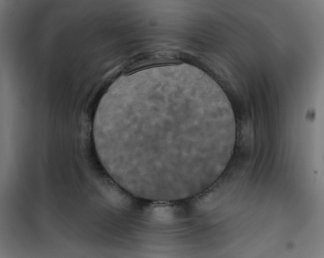 X0000100330228200807031242