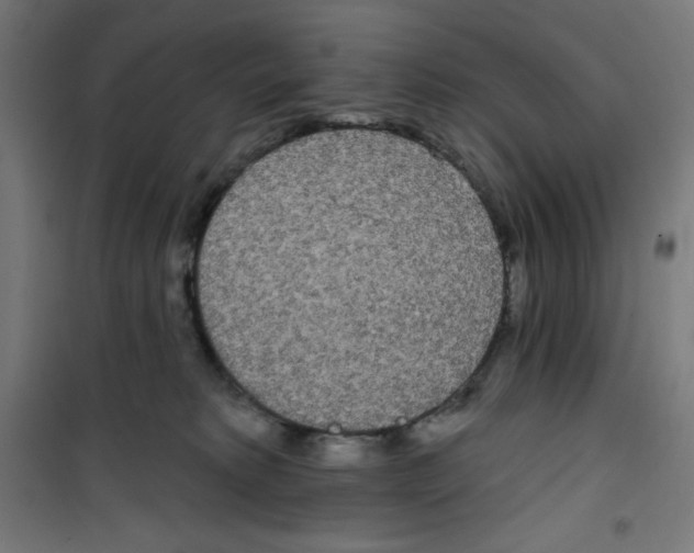 X0000100330229200807031242