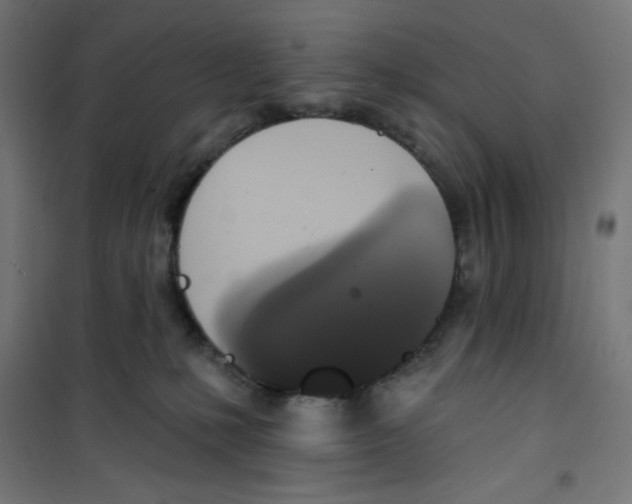 X0000100330231200807031242