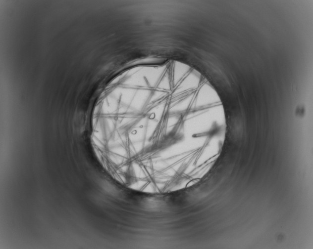 X0000100330232200807031242