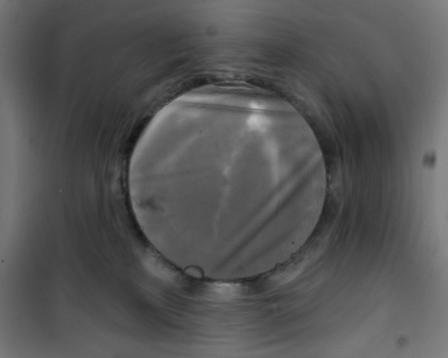 X0000100330233200807031242