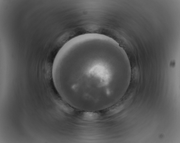 X0000100330234200807031242