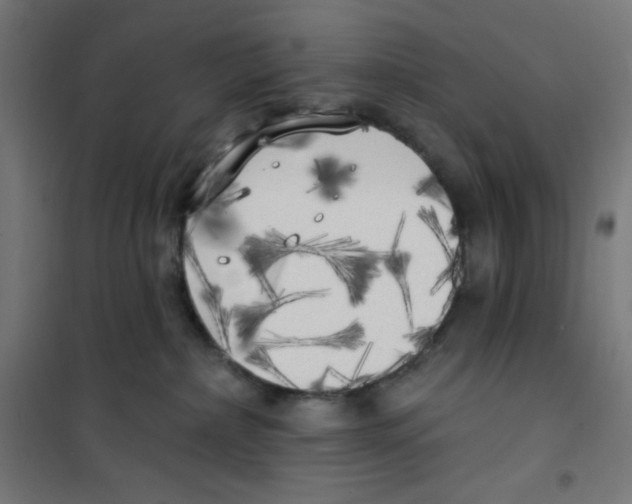 X0000100330236200807031242