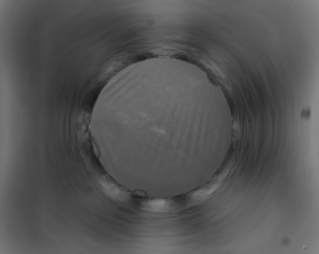 X0000100330237200807031242