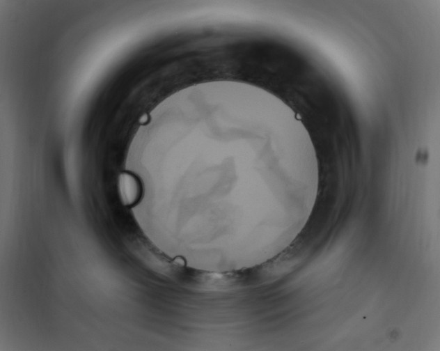 X0000100330239200807031242