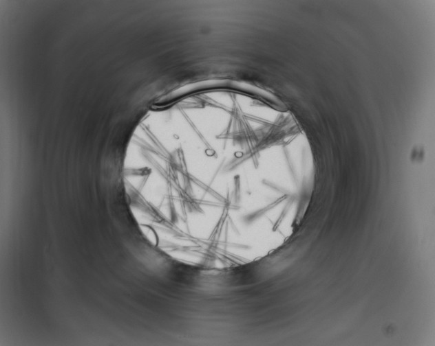 X0000100330240200807031242