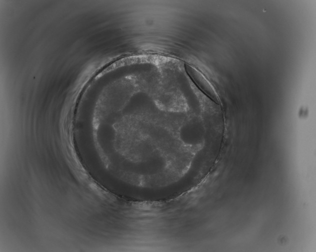 X0000100330241200807031241