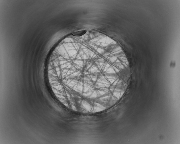 X0000100330242200807031241