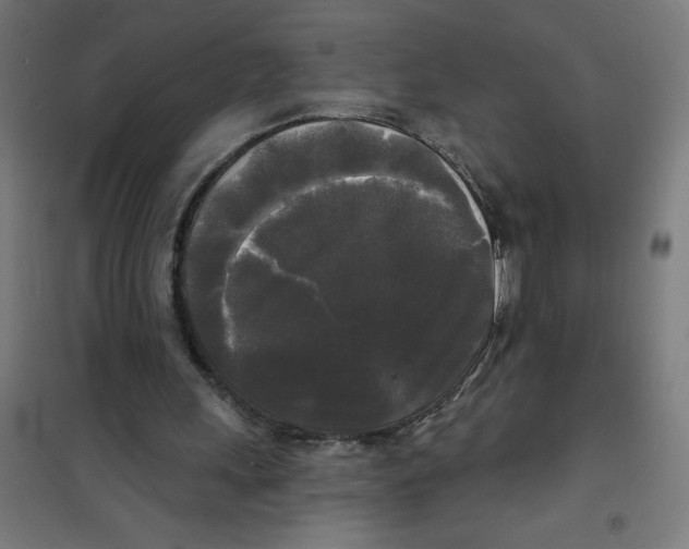 X0000100330243200807031241