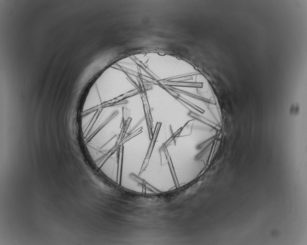X0000100330245200807031241