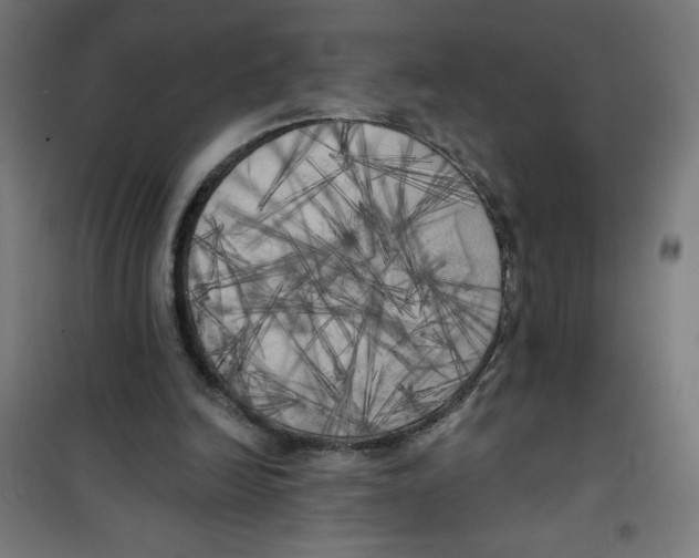 X0000100330246200807031241