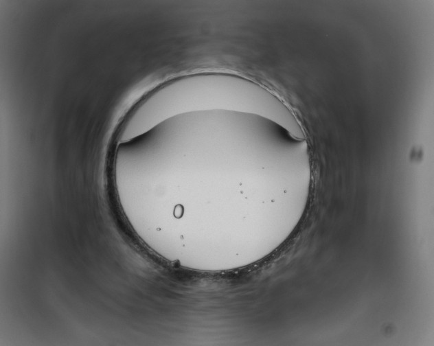 X0000100330248200807031241