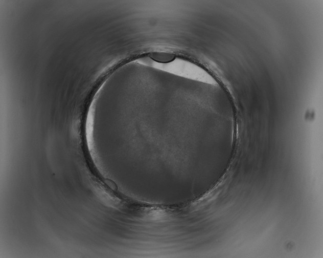 X0000100330249200807031241