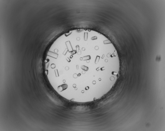 X0000100330251200807031241