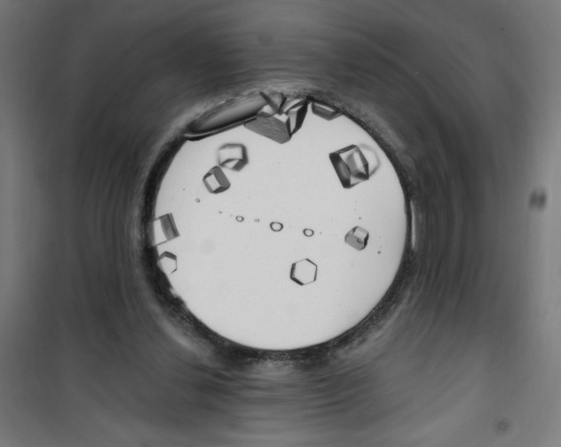 X0000100330252200807031241