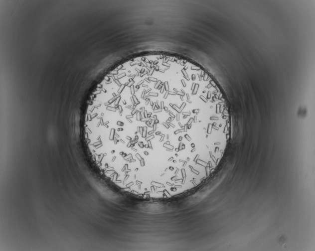 X0000100330253200807031241