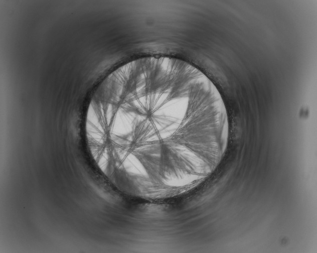 X0000100330255200807031241