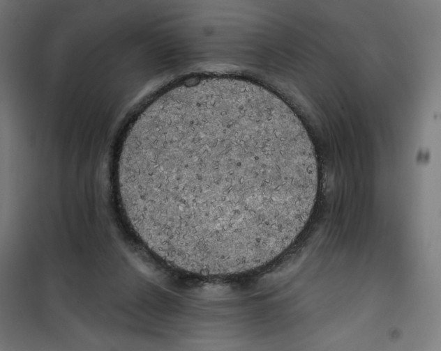X0000100330256200807031241