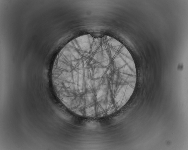 X0000100330258200807031241