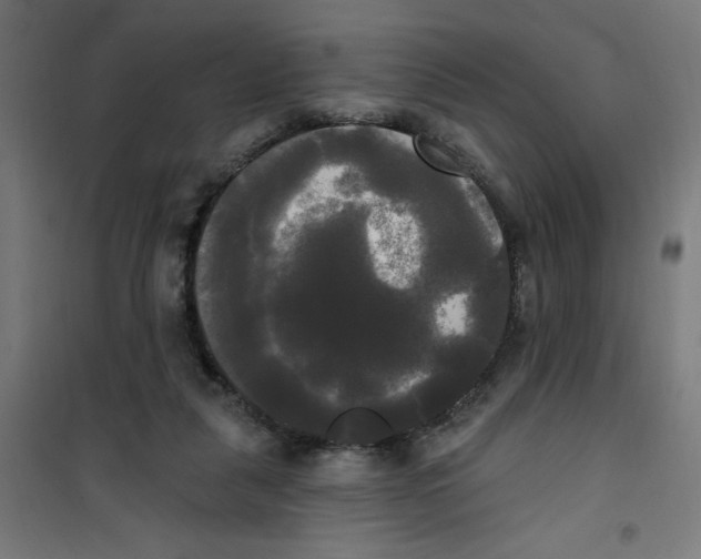 X0000100330259200807031241